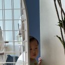 노드그라운즈 이미지