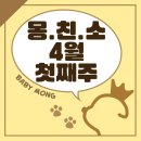 꽃길만 걷장 | [몽친소] 베이비몽 분양후기 4월 첫째주