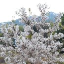 문관농장 이미지