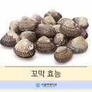 벌교사랑치과 이미지