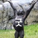 대현농장 | [가천대 하와이 엘리트코스] #8 2주차 토요일