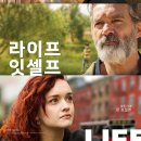 잇셀프(itself) 네이버블로그