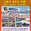 동방여행사 이미지