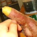 예사랑 이미지