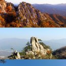 신길고 사거리 이미지