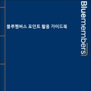 현대자동차 블루멤버스 포인트 사용처 총정리: 신차 구매 혜택 알뜰하게 쓰는 법