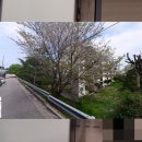 영등치과의원 이미지