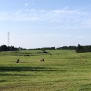 한림목장 이미지