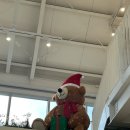 프랭크버거 마포구청역점 | 부천 카페 코홀트 커피 옥길점 / 오늘은 새우회 딱새우회 / 프랭크버거 한우갈릭 / 기계식 주차 방법 후기