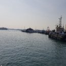 여수수협 앞 이미지