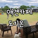 도기온 (doggyon) 이미지