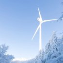 태기산아침의새소리 이미지