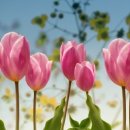 (주)다정 이미지
