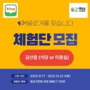 금산햇빛촌 | [체험단모집] 네이버블로그 운영하는 분 찾습니다.