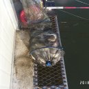 독정낚시터 이미지