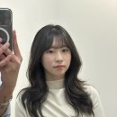엠와이헤어 이미지