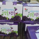 기남농장 이미지