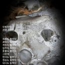 돈 천지 이미지