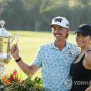 챔피언나이트클럽 이미지