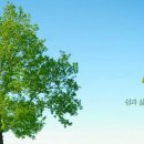 인프라에듀 이미지