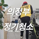 돌핀크린 이미지