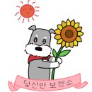 브릭어라운드 이미지