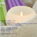알라붕 이미지