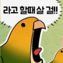 3008주유소 네이버블로그