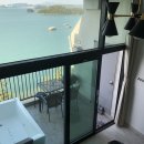 여수안단테애견스파오션뷰펜션 이미지