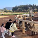 광이목장 네이버블로그