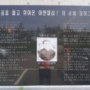 클로버관광여행사(클로버관광) 이미지