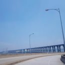 대교미트