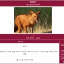 디자인팩주 이미지