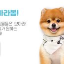 산들동물병원 이미지