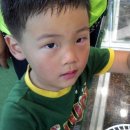 태호바이오 이미지