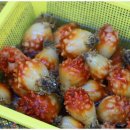 경포회센타 이미지