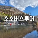유후인 버스투어 당일치기 여행 |소소버스투어| 내돈내산 후기 + 벳부, 유후인 하차 가능