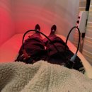 세종한의원 | 세종시다이어트한의원 3주차, 몸 변화가 느껴진다 👍🏻