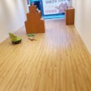 견생냥품 서울 노원역점 이미지