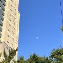 부산대연우체국(1층) 이미지