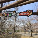 간이화장실_상도근린공원(상도동_국사봉약수터) | 동작구 상도동 상도근린공 맨발 황톳길 안내