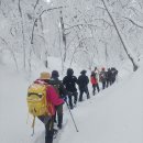 대박터진날 이미지