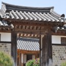신암면017 Daum카페