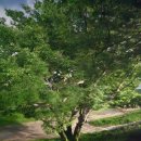 목계성황당 이미지