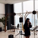 P-6715 | 스피커 후기 :: 사운드프로 :: JBL 208P 스피커 내돈내산 랜트 후기 음향 업체 추천