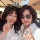 웰컵 이미지