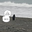 몰앤몰