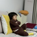 신애정신병원 | 2026년 2월 일상