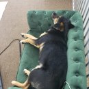 개포동월드 이미지