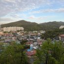 완산-33 | 전주/여행 전주 겹벚꽃 명소 완산칠봉꽃동산(ft. 평일 퇴근 후)